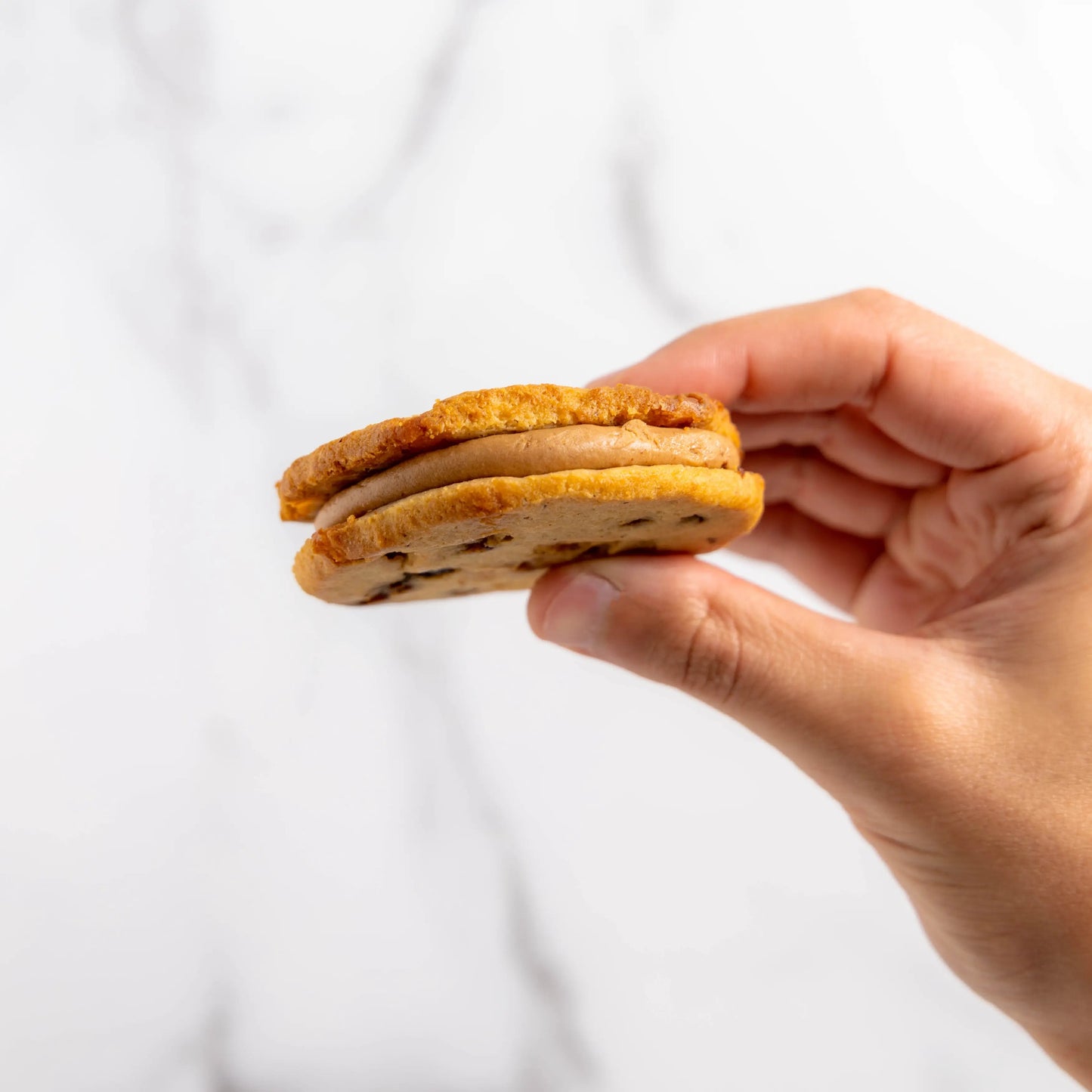 The Cookie Sandwich Pack by Cookies by RAIZE Leaves of Leisure