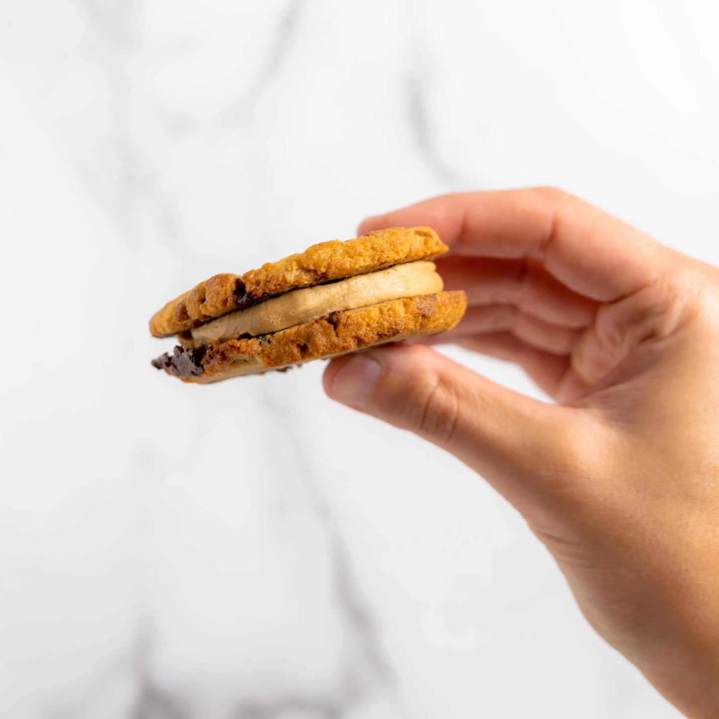 The Cookie Sandwich Pack by Cookies by RAIZE Leaves of Leisure