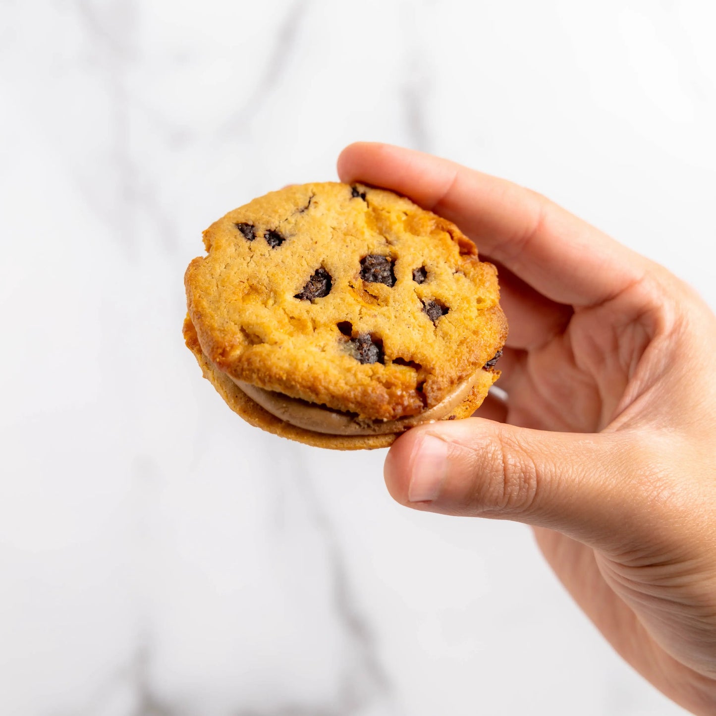 The Cookie Sandwich Pack by Cookies by RAIZE Leaves of Leisure