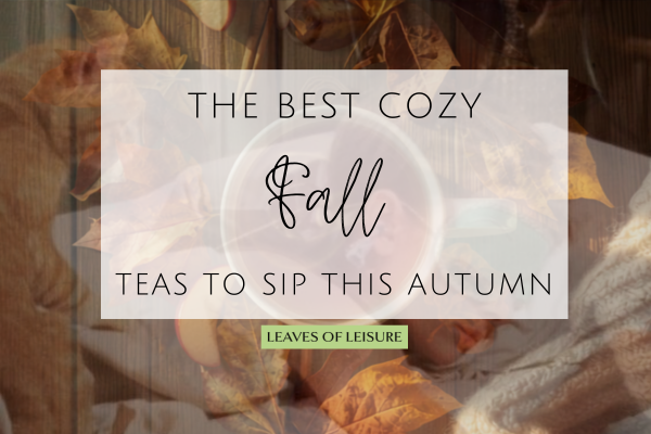 The Best Cozy Fall Teas to Sip This Autumn