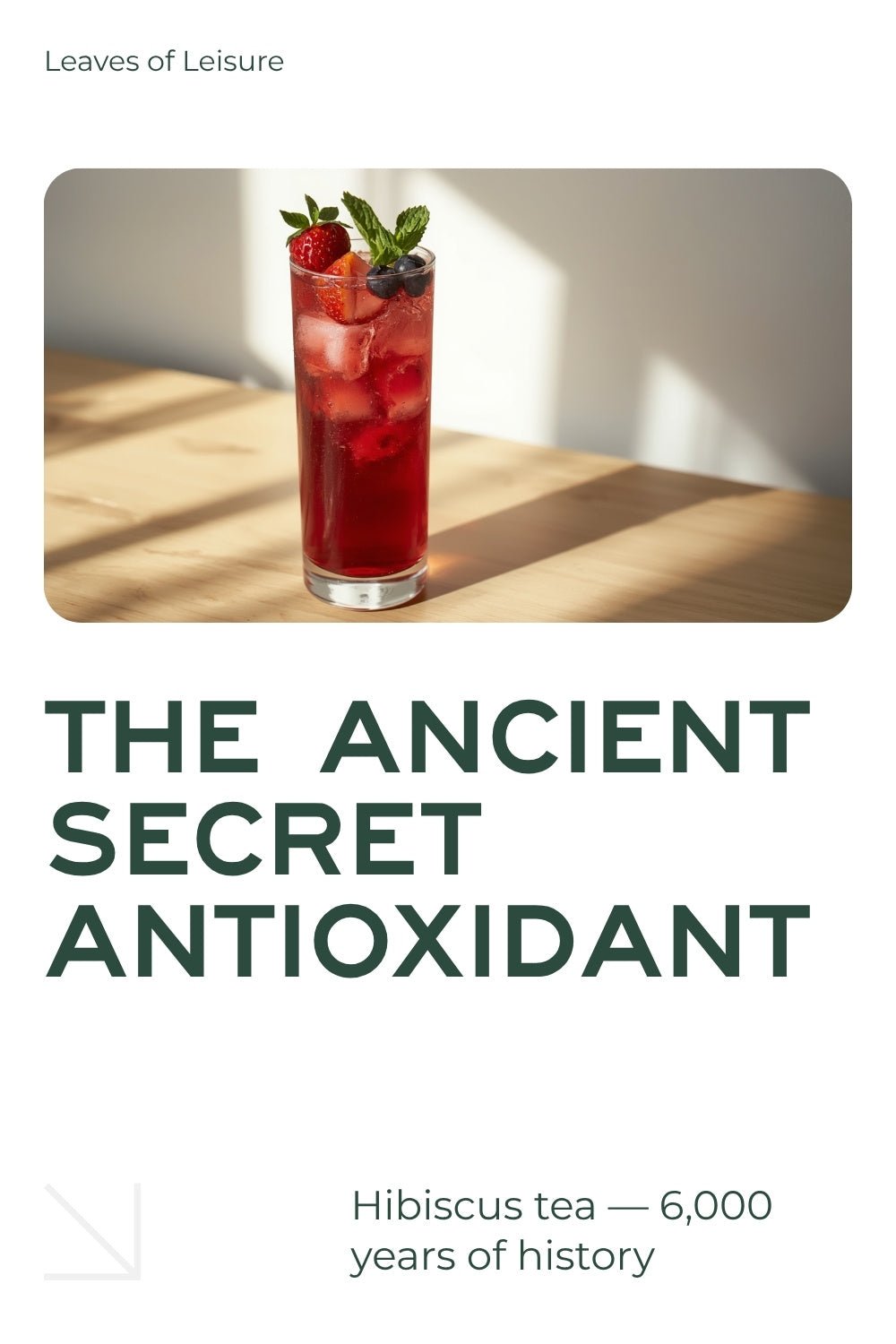 Everything You Need to Know About Hibiscus Tea - Leaves of Leisure