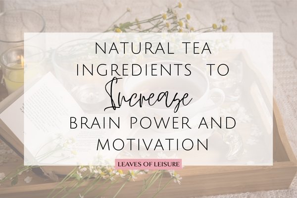 Natural Tea Ingredients To Increase Brain Power and Motivation - Leaves of Leisure